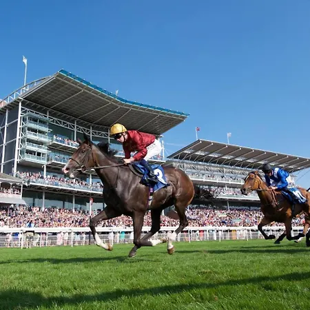 度假居 4 35 Fossgate Cosy 2-bed Right In The Heart Of - Pass The Keys 约克